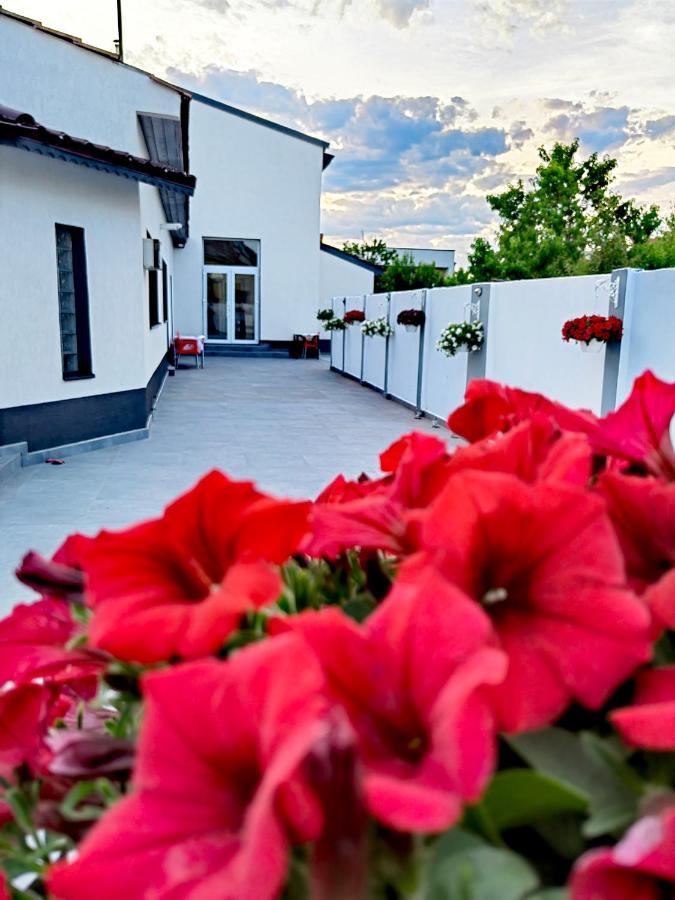 White House Otel Alexandria Dış mekan fotoğraf